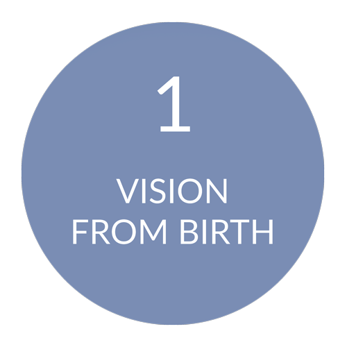 FoundationsMenuGraphics-01_ChadwickOptical