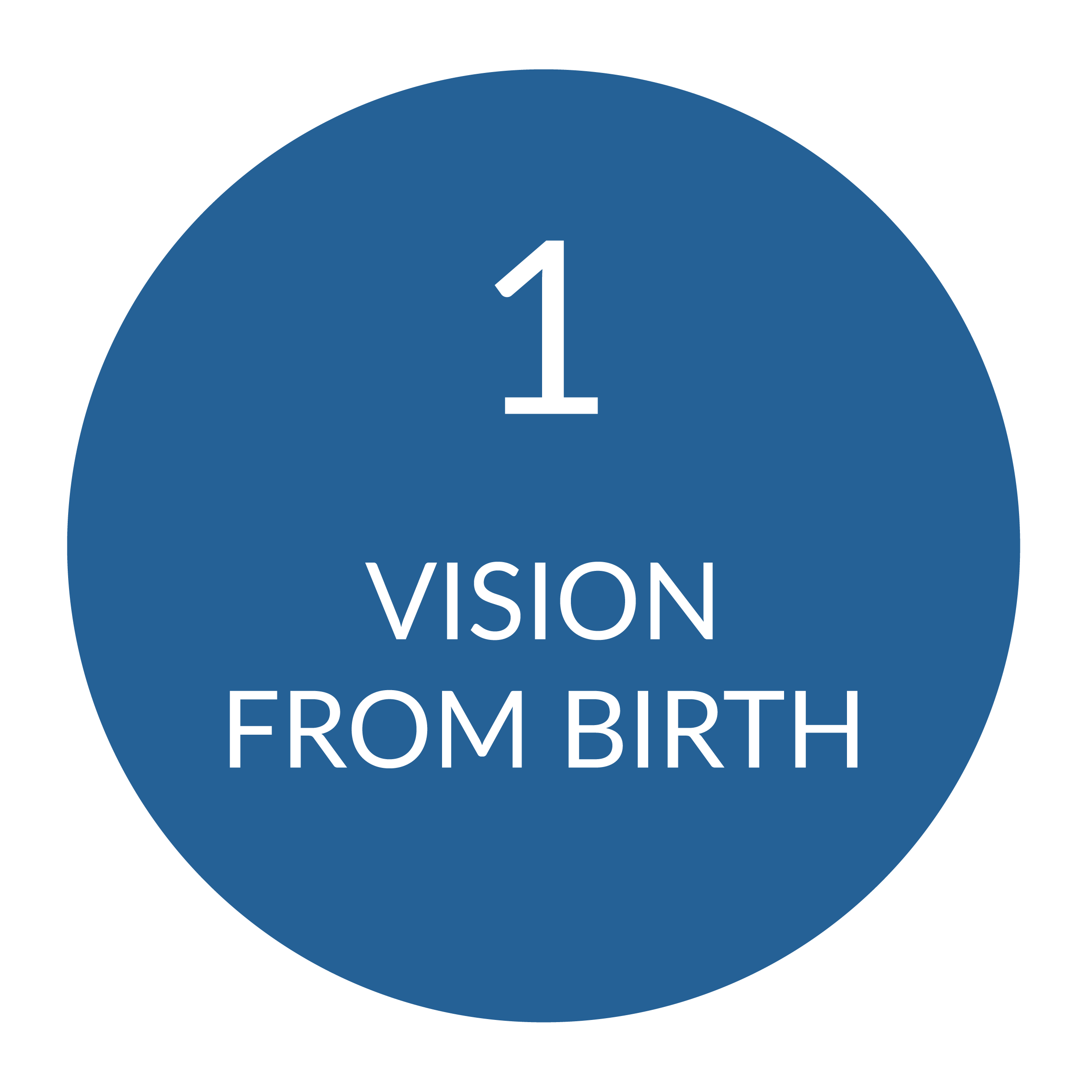 Blue circle with the number 1 and text Vision From Birth.