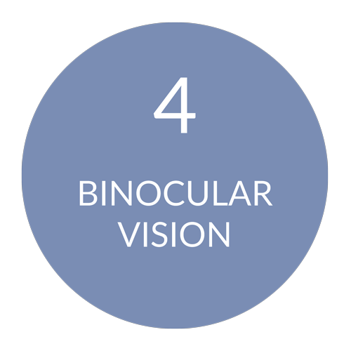 FoundationsMenuGraphics-04_ChadwickOptical