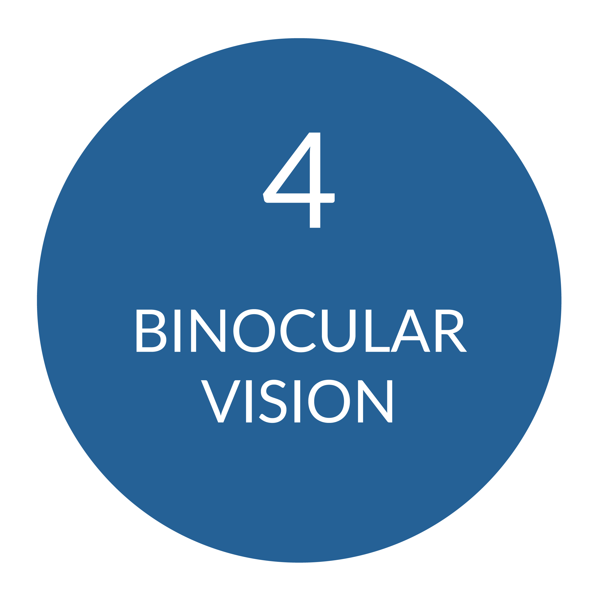 Blue circle with the number 4 and text Binocular Vision.