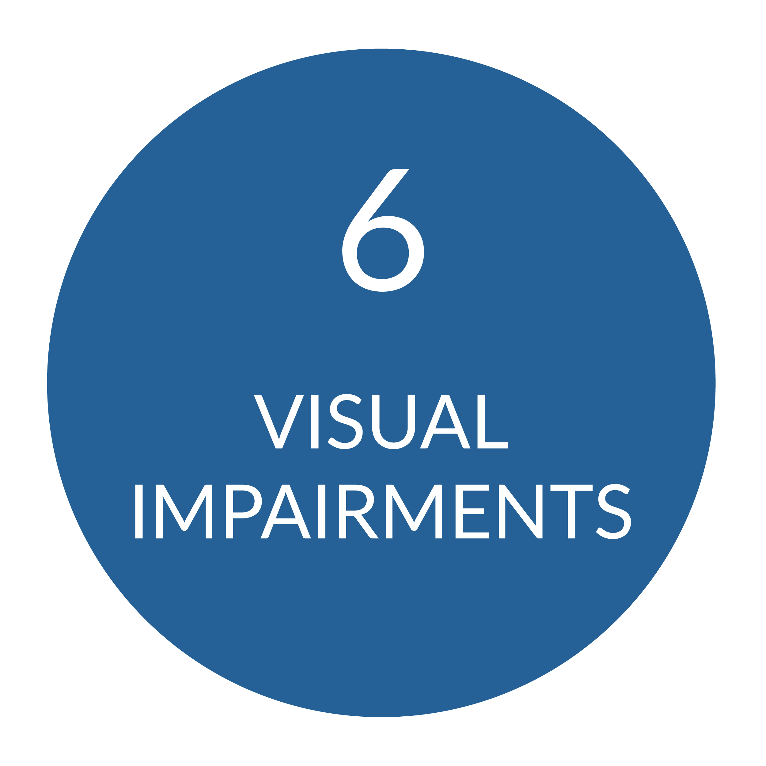 Blue circle with the number 6 and text Visual Impairments.