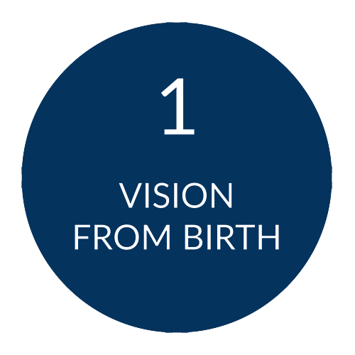 Blue circle with the number 1 and the text: Vision From Birth