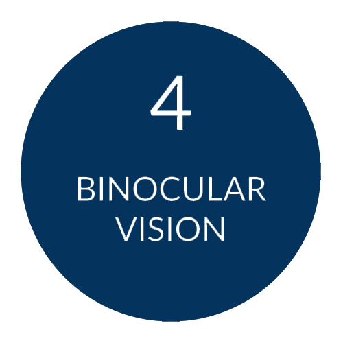 Circle with the number 4 and the text: Binocular Vision