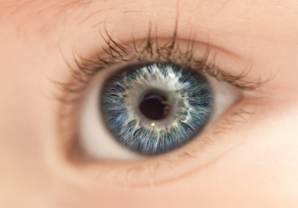 Close-up of a baby's blue eye with detailed iris patterns and long eyelashes, showcasing clear and vibrant colors.
